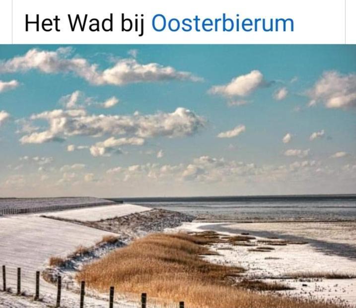 4-Persoons Vakantiehuisje Simmerwille Tzummarum Luaran gambar
